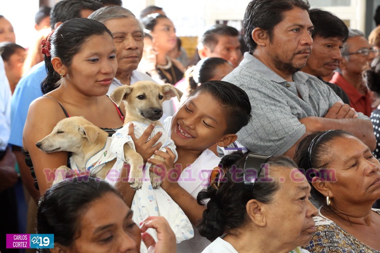 Masaya celebra un a&ntilde;o m&aacute;s a San L&aacute;zaro con el tradicional desfile de mascotas  